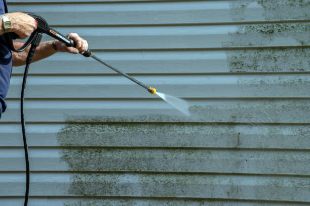 Best Roof Washing  in Fayetteville, AL